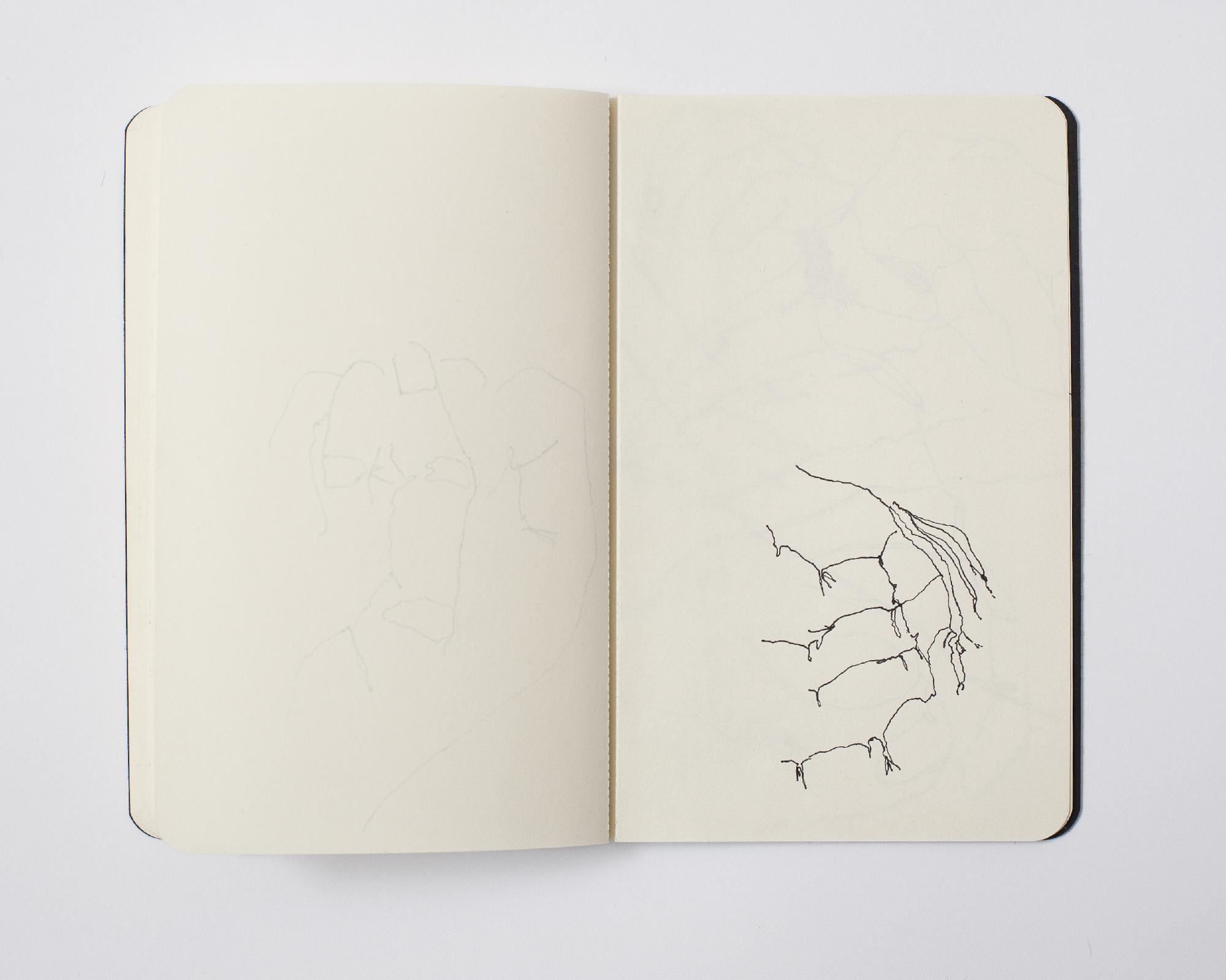 seriedessinee_26